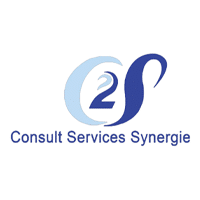Consult services synergie
